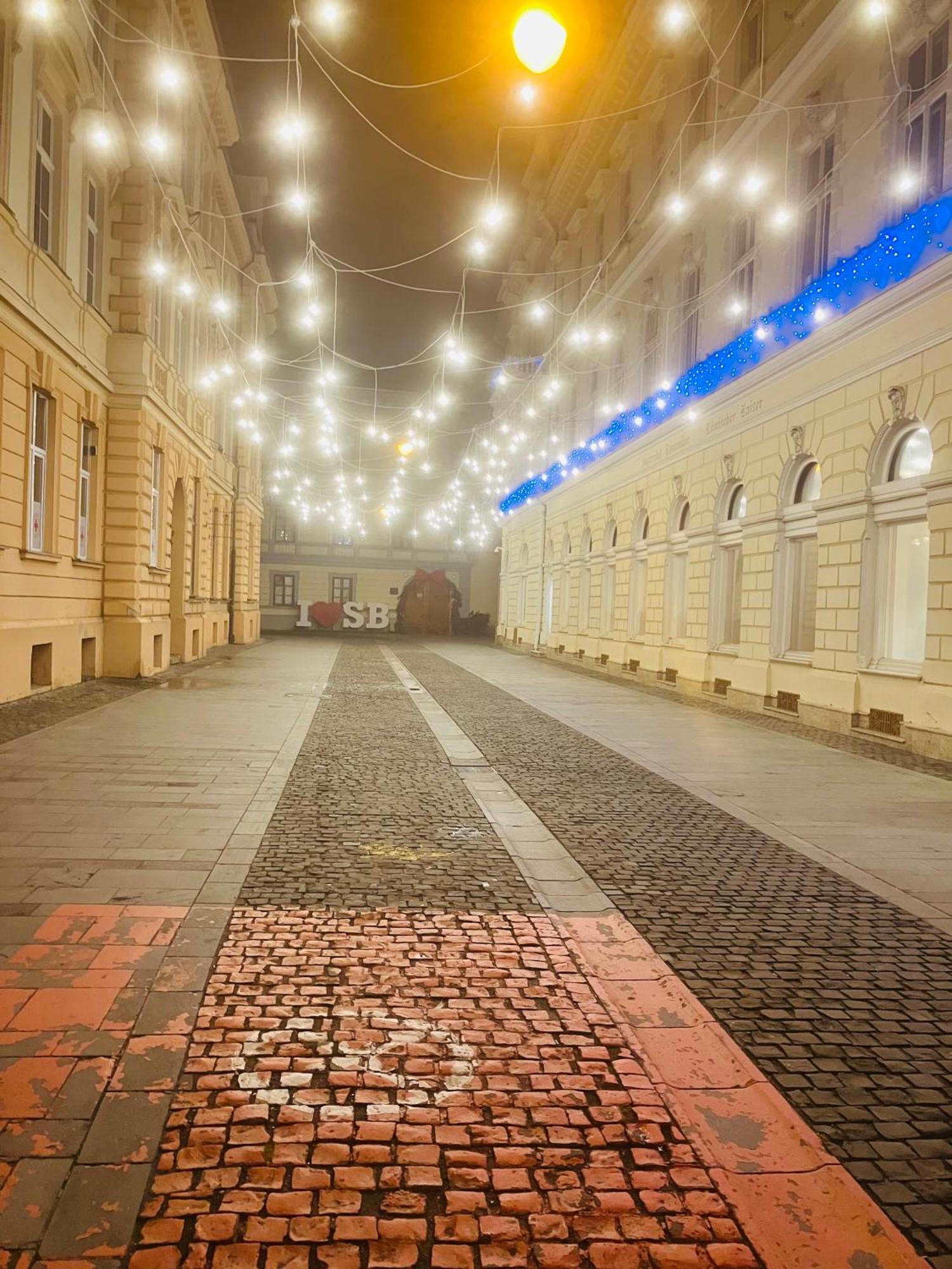 Casa Young&Jung Сибиу Экстерьер фото